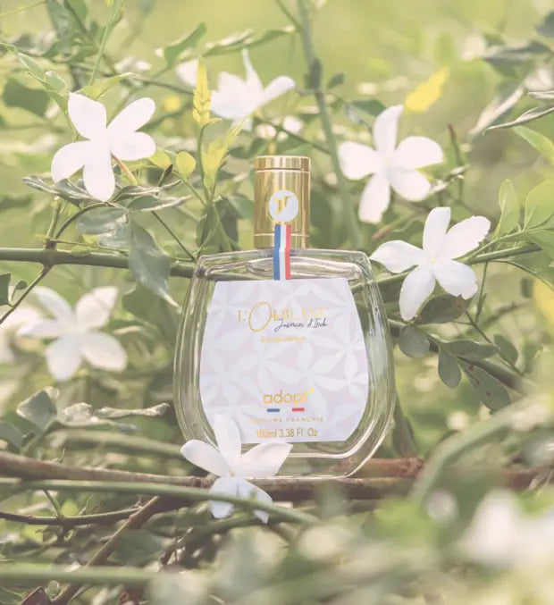 Smell center image 3