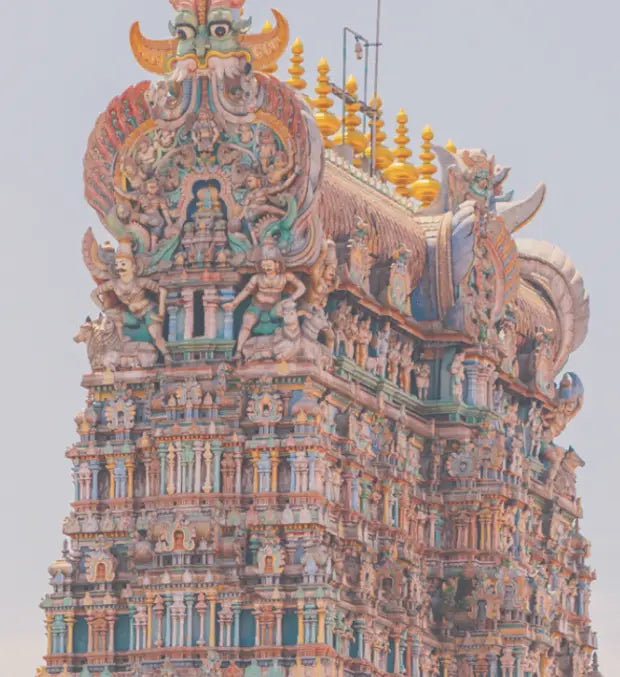 Smell center image 4