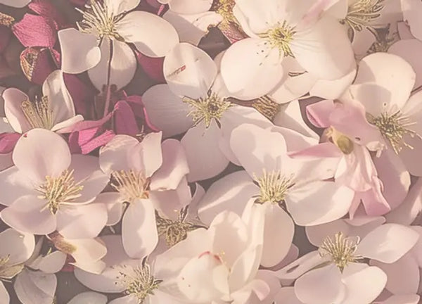 Smell center image