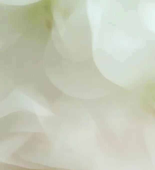 Smell center image 3