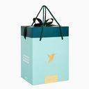 Gift Box Bag Green Color - Large