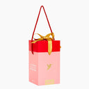 Gift Box Bag Rose Pink Color - Small