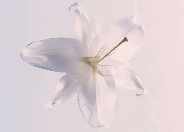 Smell right image 3