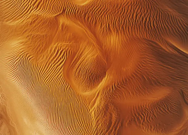 Smell center image 4