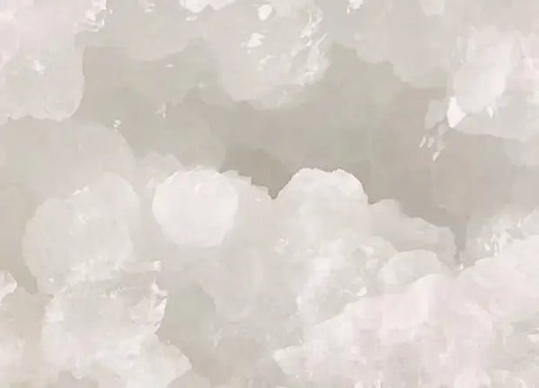 Smell center image