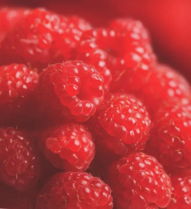 Smell center image 2