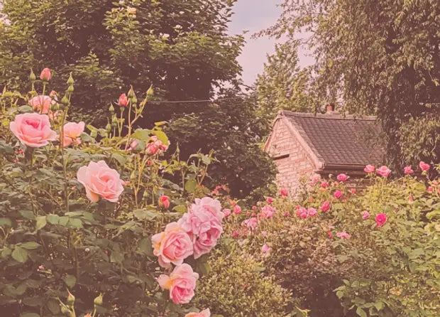 Smell center image 1