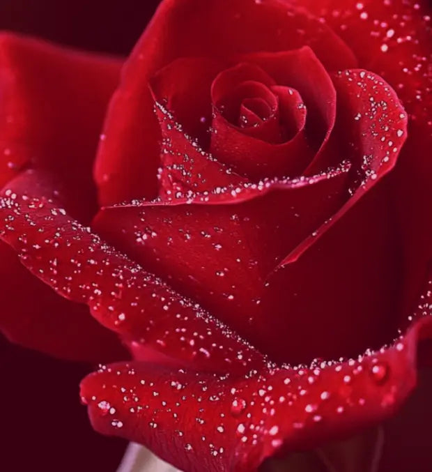 Smell center image 1