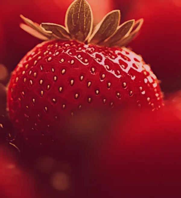 Smell right image