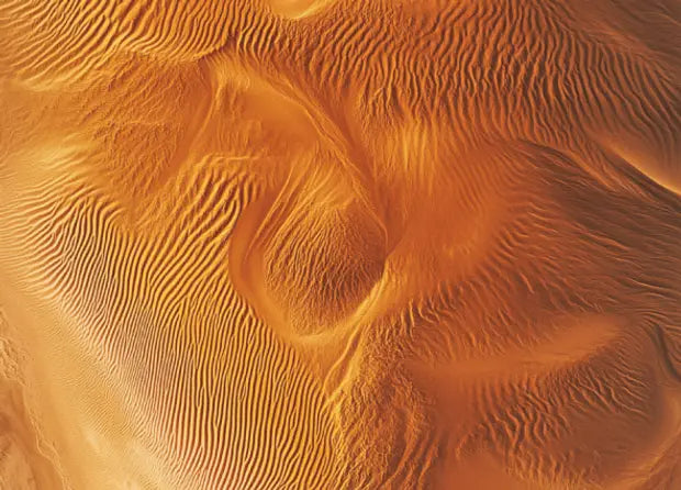 Smell center image 1