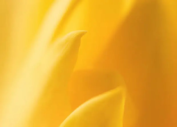 Smell center image