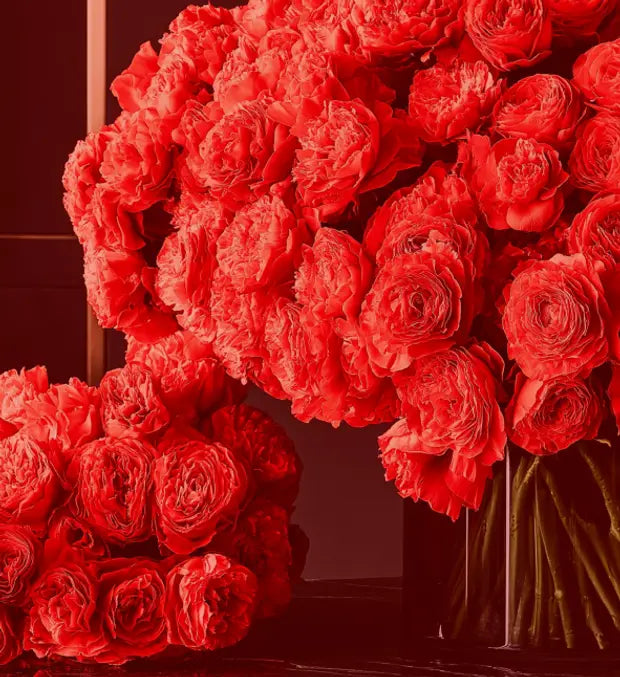 Smell center image 1