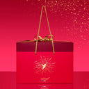 Gift Box Bag Large