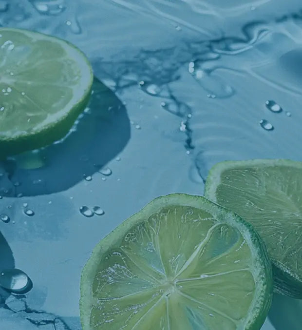 Smell center image 1