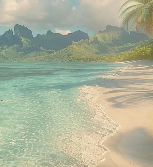 Smell center image 2