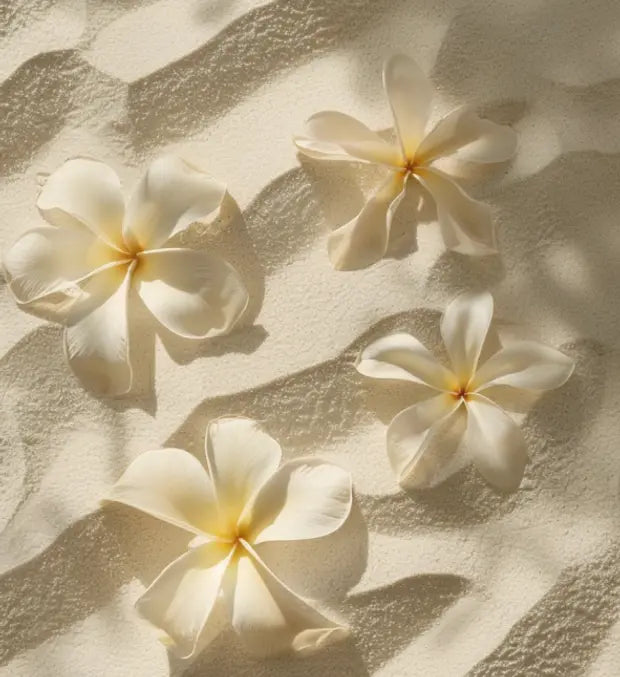 Smell center image 1