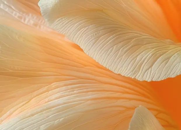 Smell center image 4