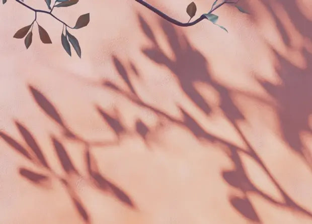 Smell center image 4