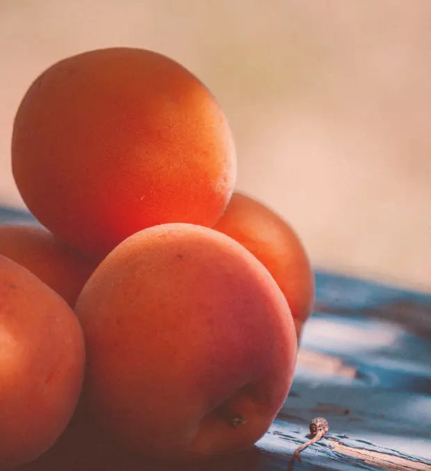 Smell center image 2