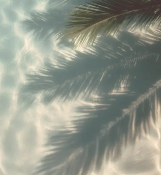 Smell center image 1