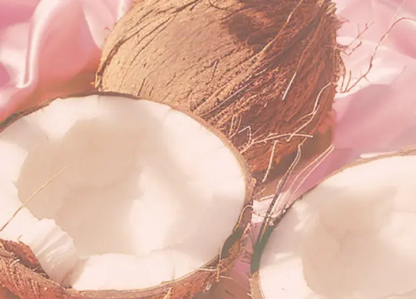 Smell center image